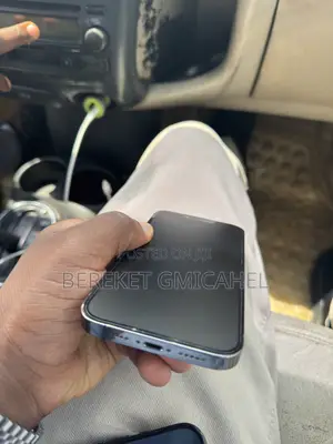 Apple iPhone 13 Pro 256 GB Gray