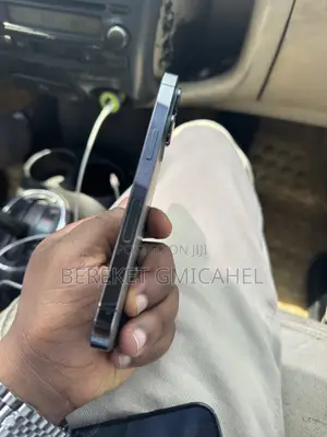 Apple iPhone 13 Pro 256 GB Gray