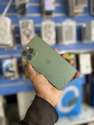 Apple iPhone 13 Pro Max 256 GB Green