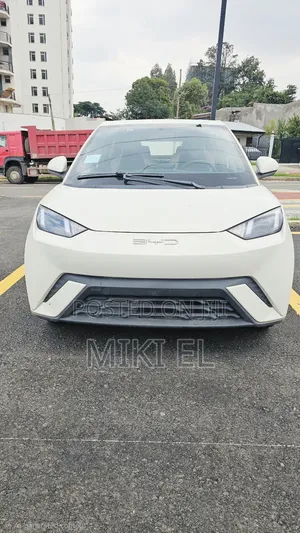 BYD Seagull 2025 White