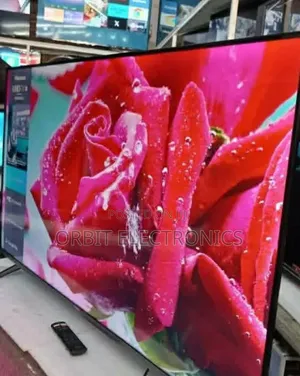 Hisense 100 Inch TV