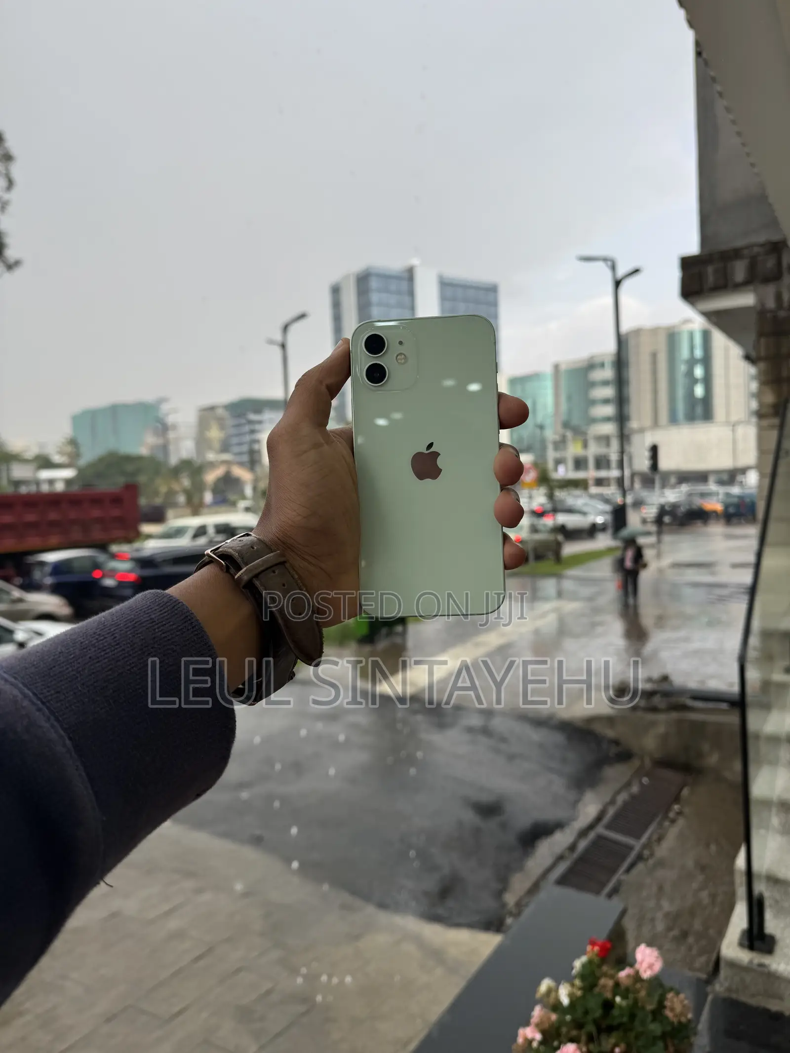 Apple iPhone 12 256 GB Green