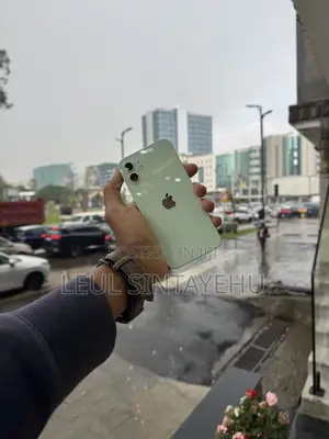 Apple iPhone 12 256 GB Green
