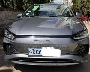 BYD E2 43 kWh 94 hp FWD 2024 Silver