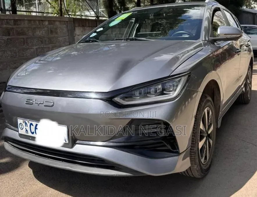BYD E2 43 kWh 94 hp FWD 2024 Silver