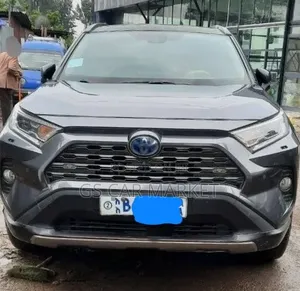 Toyota RAV4 LE FWD 2020 Gray