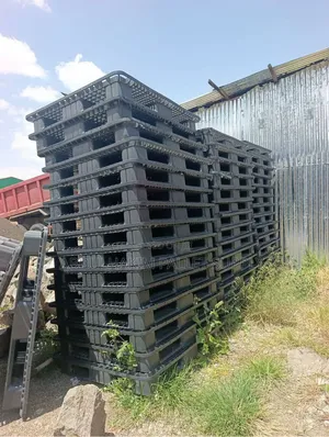 Plastic Pallet