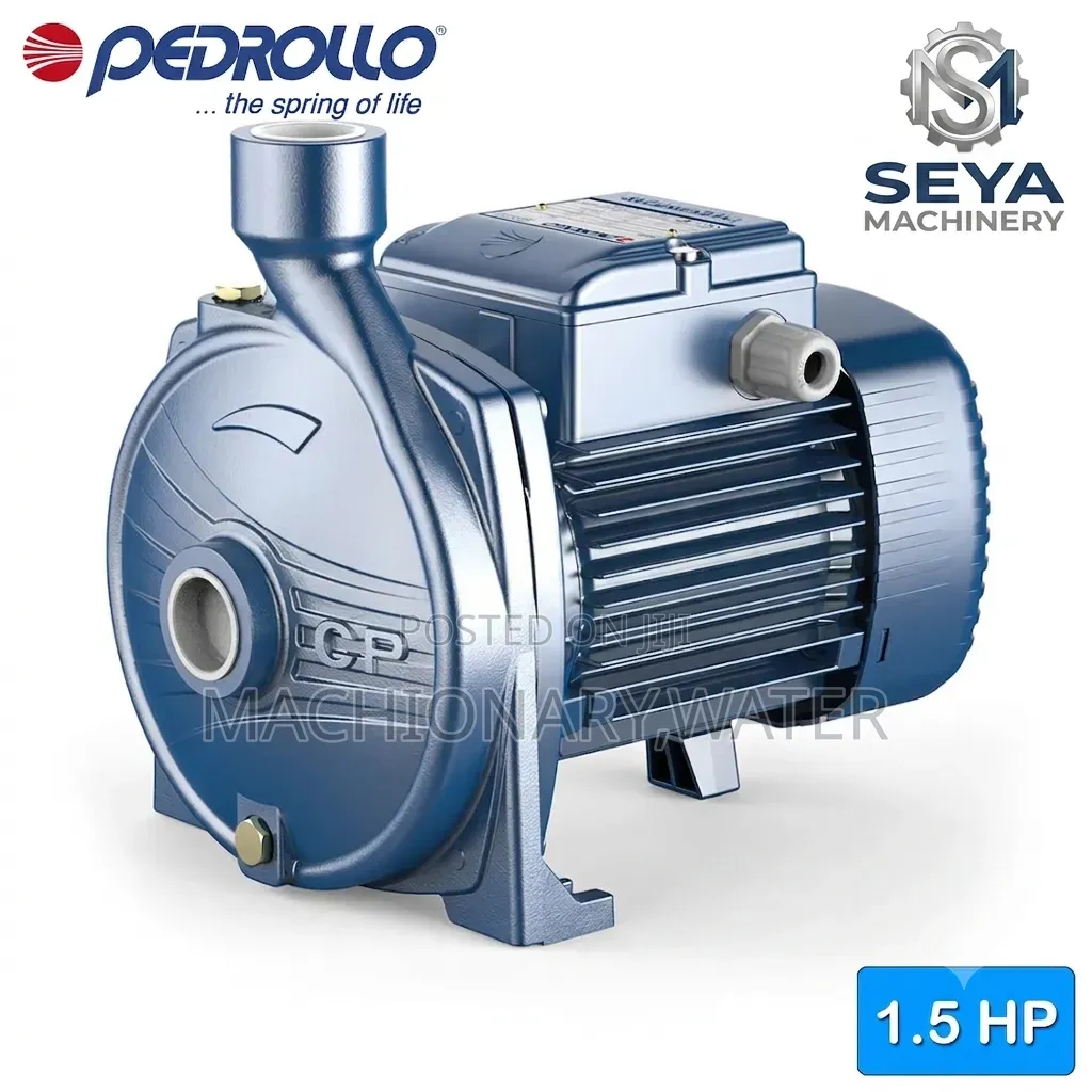 Pedrollo Centrifugal(CP) Water Pump 1.5hp Made in Italy 