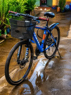 Phonex Bicycle