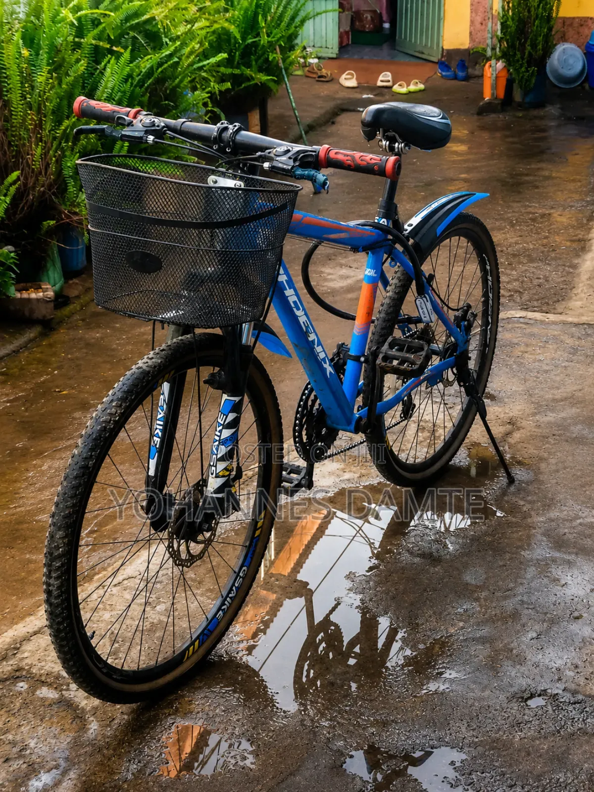 Phonex Bicycle