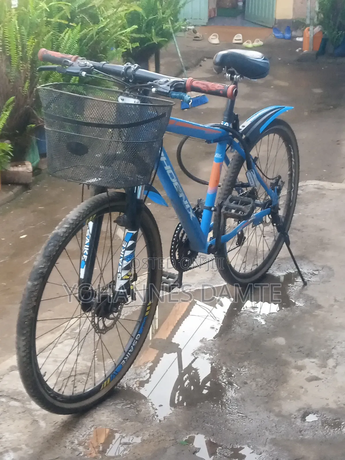 Phonex Bicycle