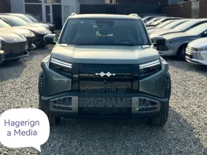 New BYD Leopard 3 2026 Gray