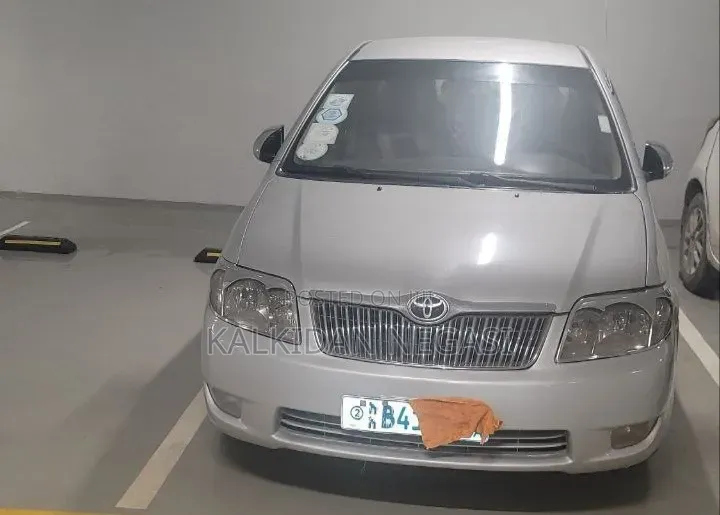 Toyota Corolla 2007 Gray