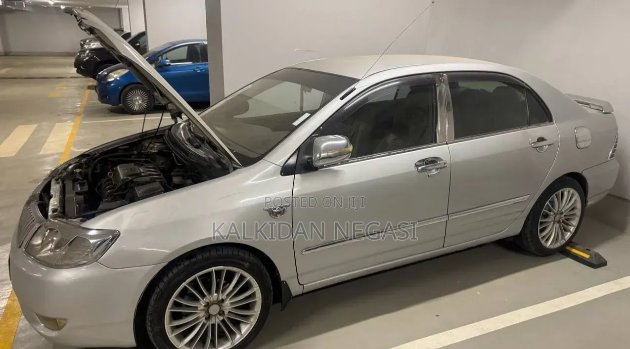 Toyota Corolla 2007 Gray