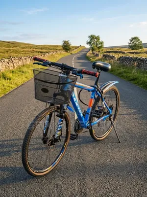 Phonix Bicycle
