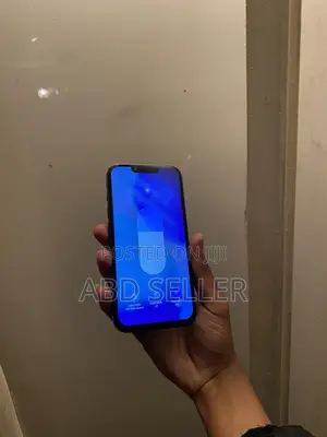 Apple iPhone 13 Pro 256 GB Gray