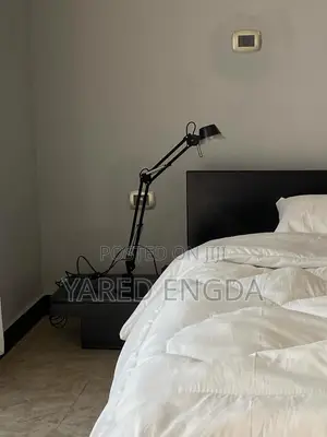 Furniture Bed