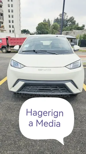 BYD Seagull 2024 White