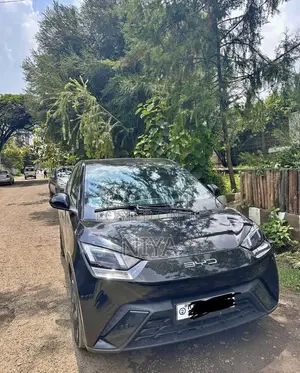 BYD Seagull 38 kWh FWD 2023 Black