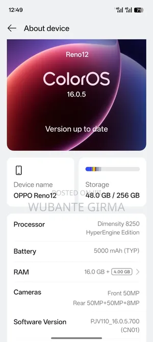 Oppo Reno 12 5G 256 GB Silver