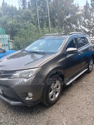 Toyota RAV4 2015 Brown