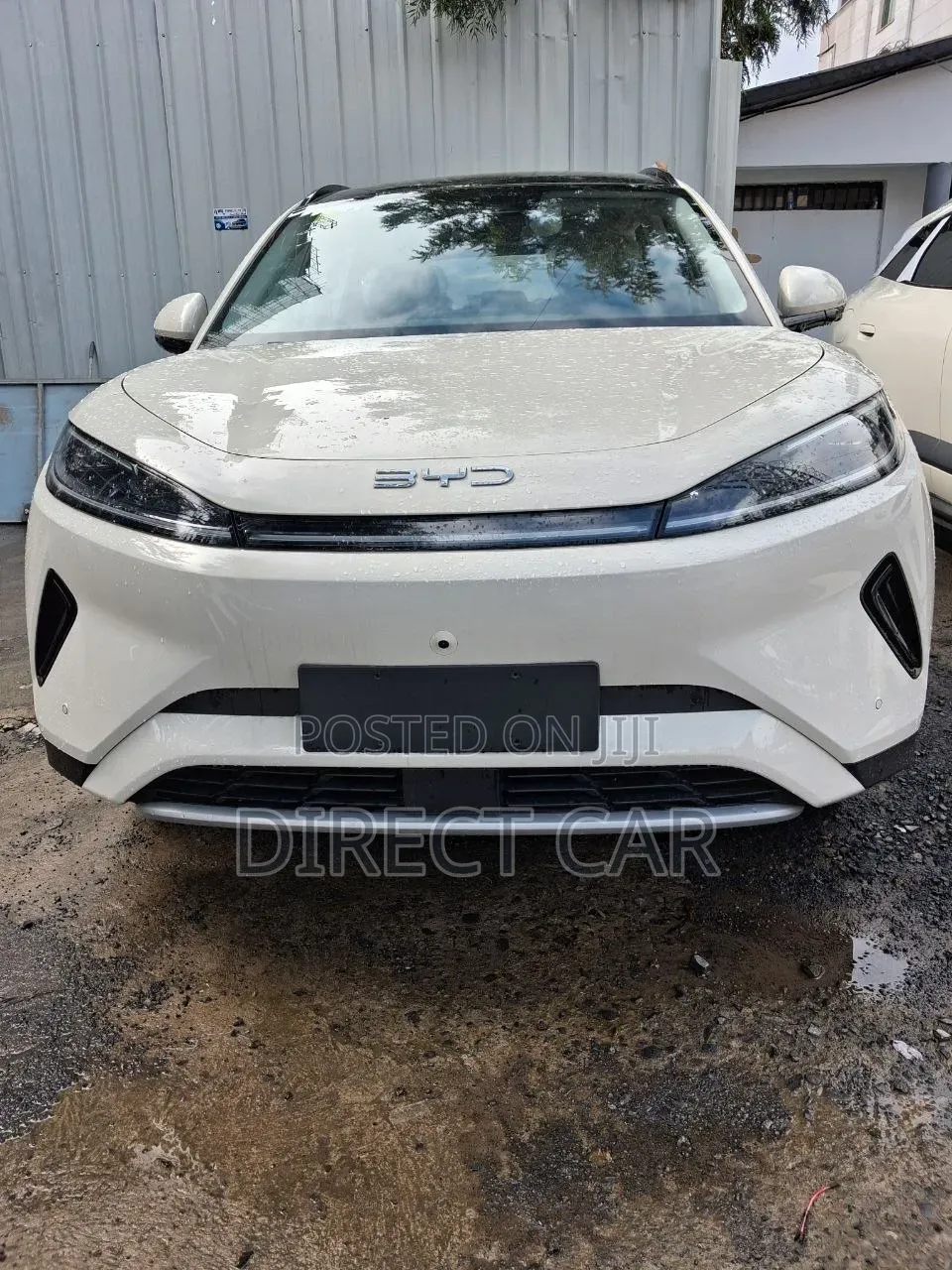 New BYD Seal 2026 White