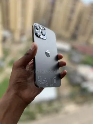 Apple iPhone 13 Pro Max 256 GB Gray