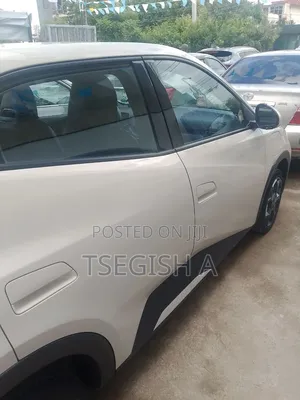 New BYD Seagull 2025 White