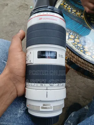 Zebra Lens