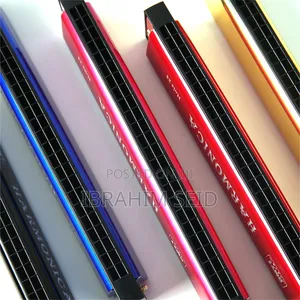 Professional 24 Hole Harmonica for Beginners With Case