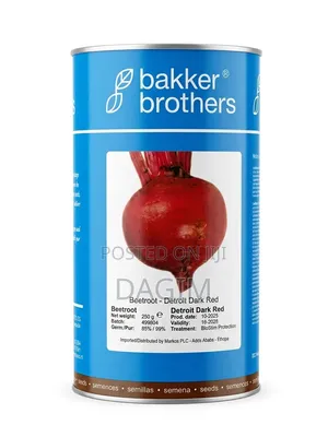 Bakker Brothers Detroit Dark Red Beet Seeds.(የቀይ ስር ዘር)