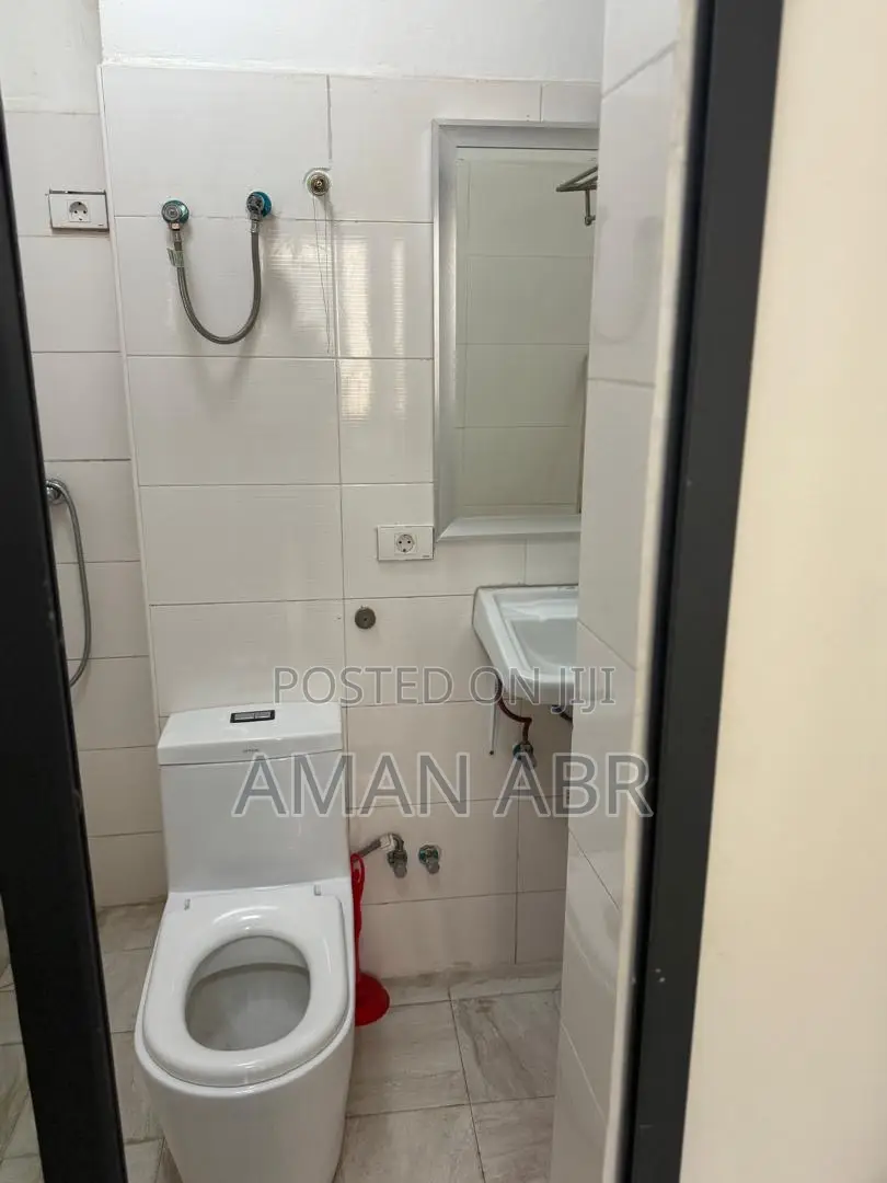 Furnished 3bdrm Apartment in Bole for rent