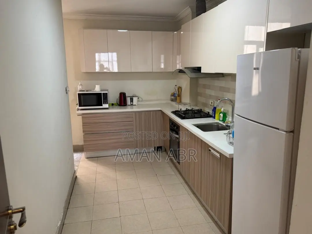 Furnished 3bdrm Apartment in Bole for rent