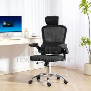 Premium Executive Chair – ከፍተኛ ጥራት
