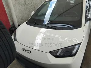 New BYD Seagull 2024 White