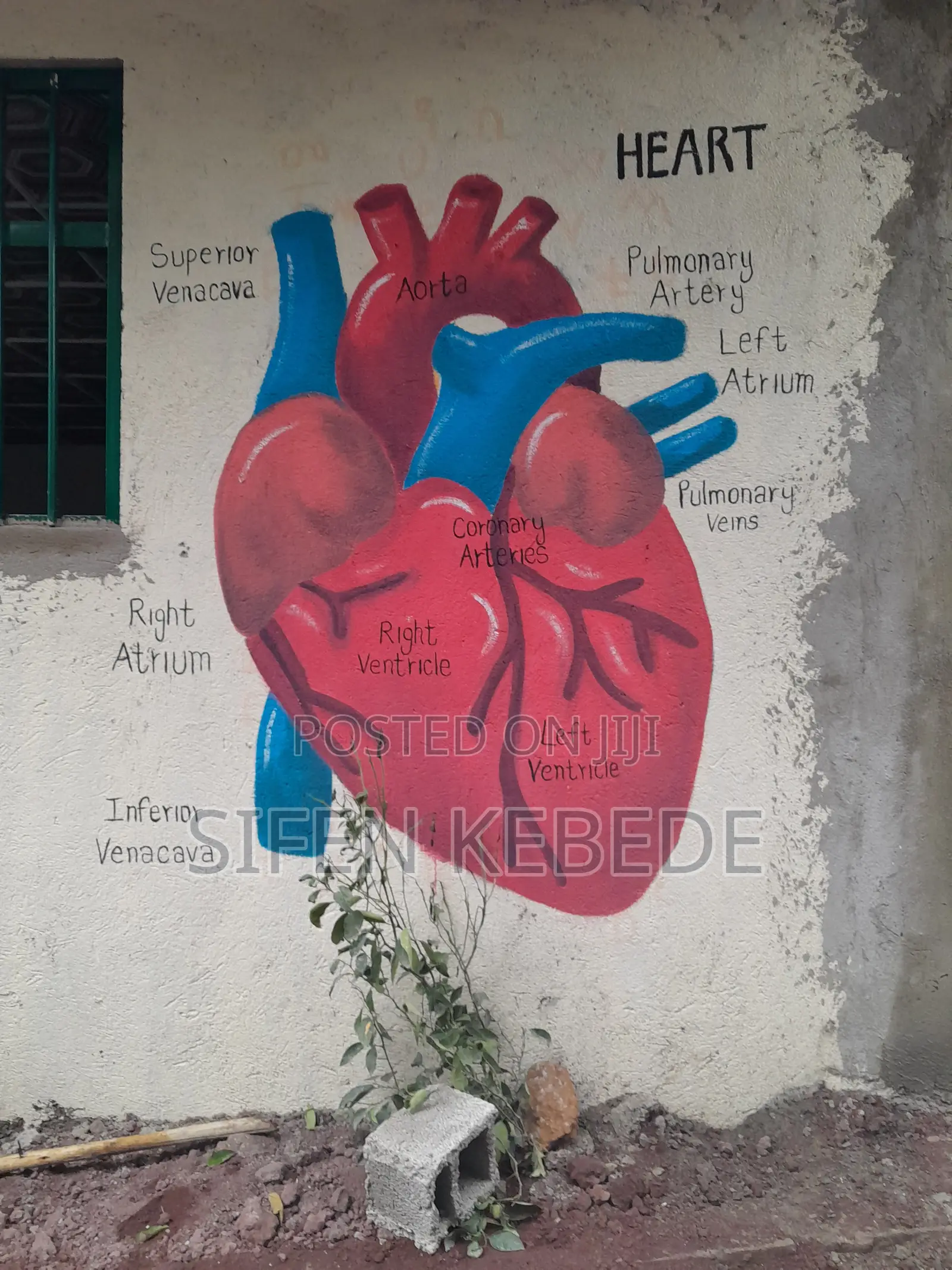 Mural Art - የግድግዳ ስዕል