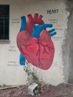 Mural Art - የግድግዳ ስዕል