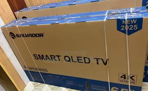Salvador 65 Inch TV