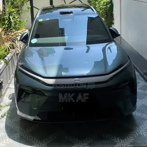 BYD Tang EV 2025 Green