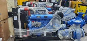 Mining Pump