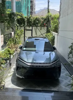 BYD Tang EV 2025 Green