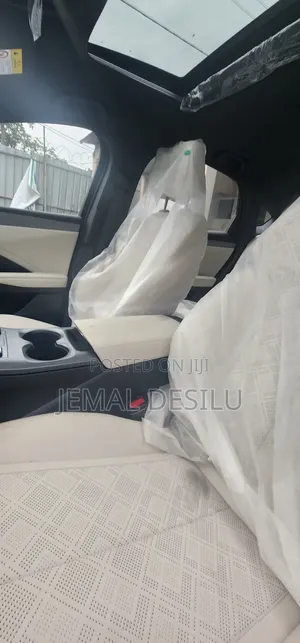 New BYD Qin Plus DM-i 2025 Gray