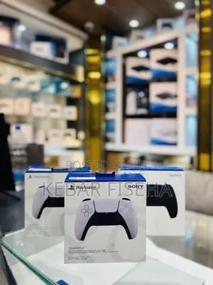 Ps5 Joystick