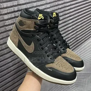 Air Jordan 1 Retro High OG Shoes