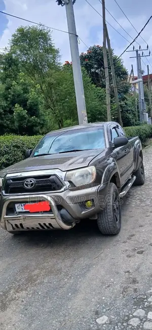 Toyota Tacoma 2015 Brown