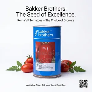 Bakker Brothers Tomato Seed.(የቲማቲም ዘር)