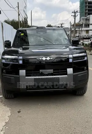 BYD Leopard 7 2025 Black