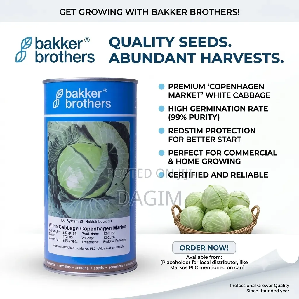 Bakker Brothers Cabbage Seeds.(ጥቅል ጎመን ዘር)