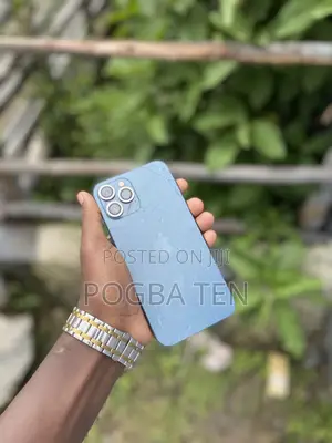 Apple iPhone 12 Pro Max 512 GB Blue