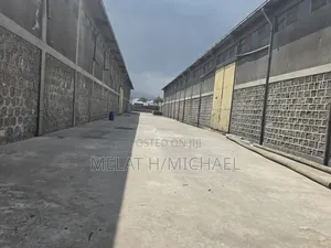 5000m2 Warehouse for Rent at Sheger City